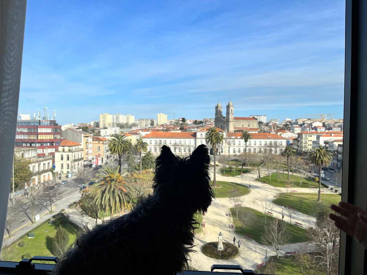 Travels with Freddy — Part II